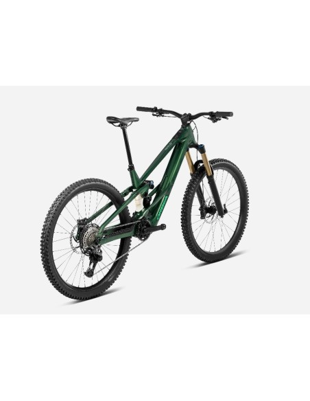 Orbea Wild LT H20 2027 avinox